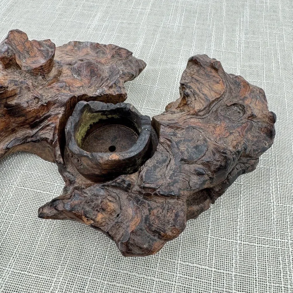 Natural Burl Wood Art Sculpture Candle Holder Decor